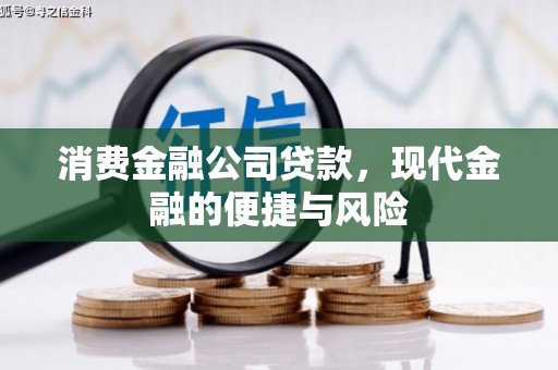 仙游消费金融公司贷款，现代金融的便捷与风险