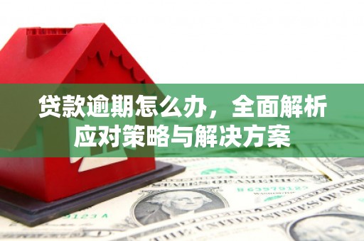 仙游贷款逾期怎么办，全面解析应对策略与解决方案