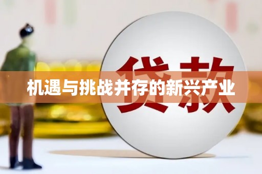 仙游机遇与挑战并存的新兴产业