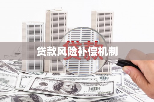 仙游贷款风险补偿机制
