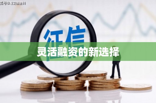 仙游灵活融资的新选择