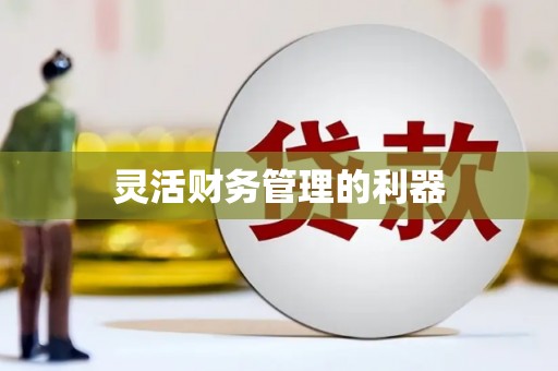 仙游灵活财务管理的利器