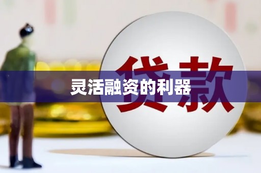 仙游灵活融资的利器
