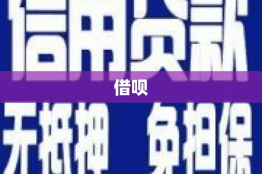 仙游借呗