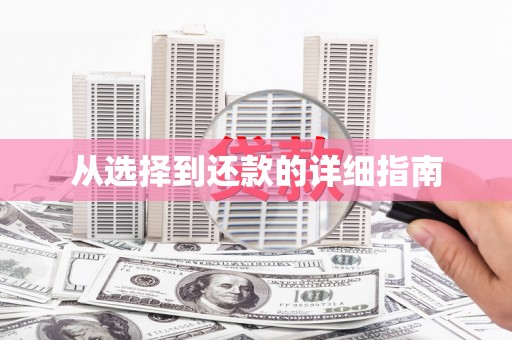 仙游从选择到还款的详细指南