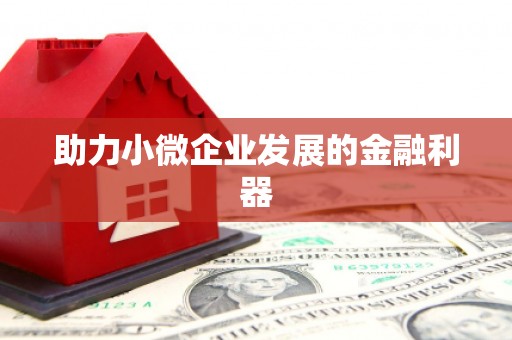 仙游助力小微企业发展的金融利器