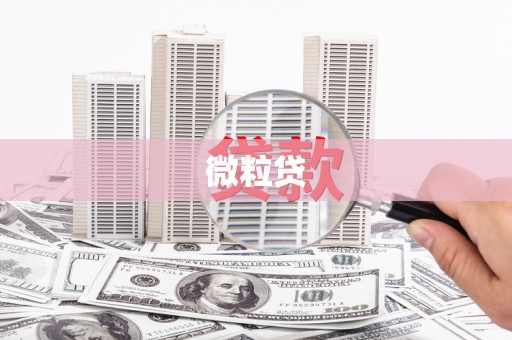 仙游微粒贷