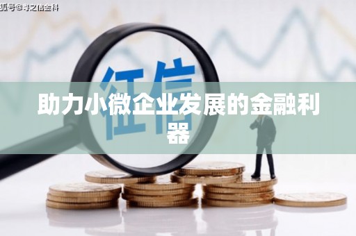 仙游助力小微企业发展的金融利器