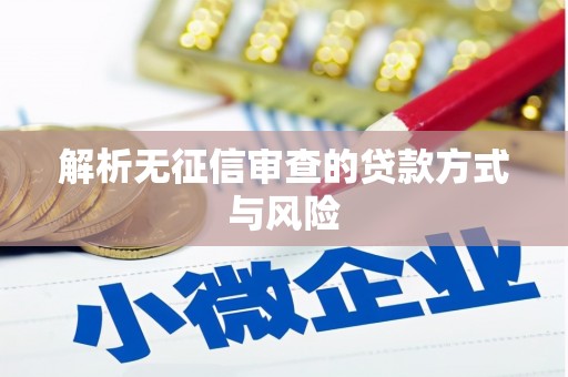 仙游解析无征信审查的贷款方式与风险