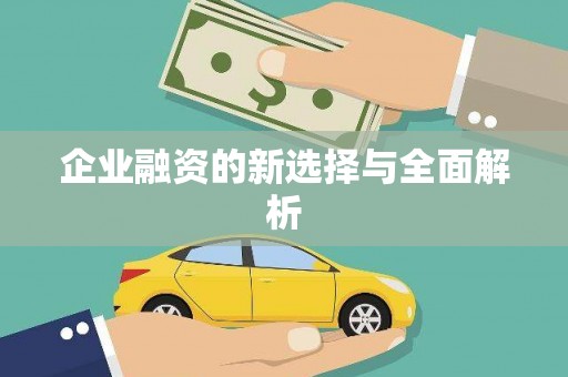 仙游企业融资的新选择与全面解析