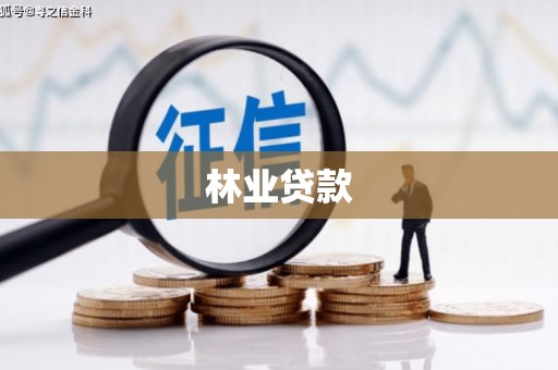 仙游林业贷款