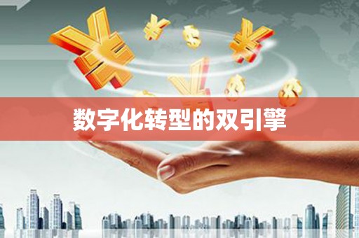 仙游数字化转型的双引擎