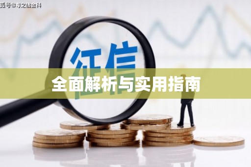 仙游全面解析与实用指南