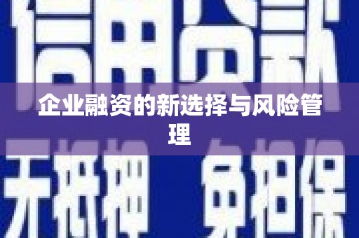 仙游企业融资的新选择与风险管理