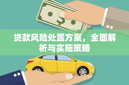 仙游贷款风险处置方案，全面解析与实施策略