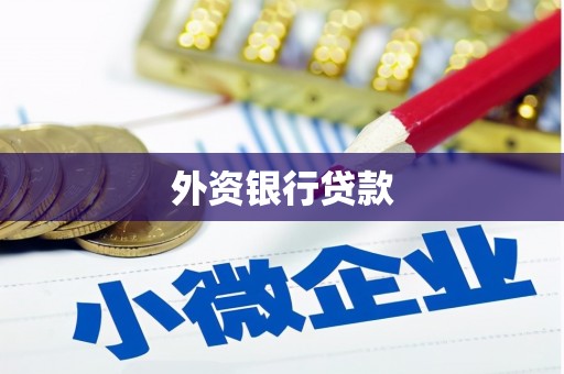 仙游外资银行贷款