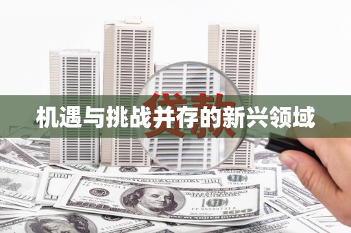 仙游机遇与挑战并存的新兴领域