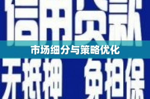 仙游市场细分与策略优化