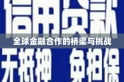 仙游全球金融合作的桥梁与挑战