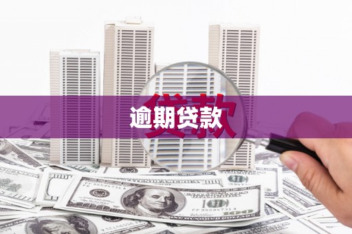 仙游逾期贷款