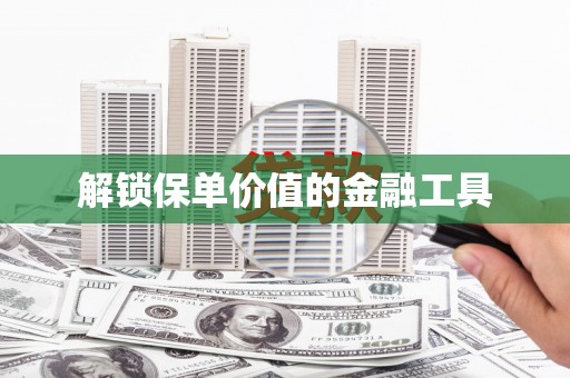 仙游解锁保单价值的金融工具