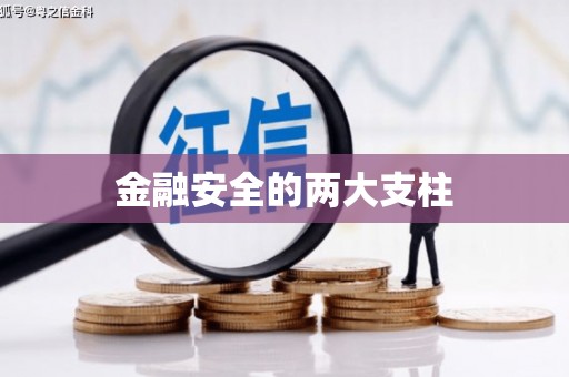 仙游金融安全的两大支柱