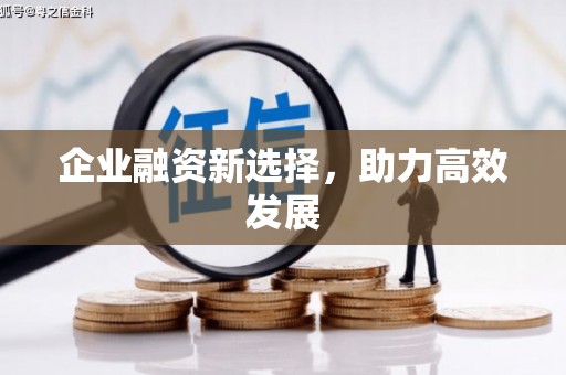 仙游企业融资新选择，助力高效发展