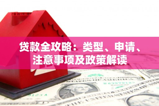 仙游贷款全攻略：类型、申请、注意事项及政策解读
