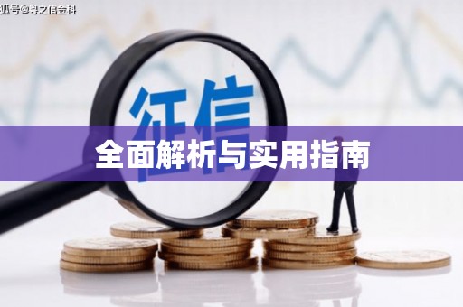 仙游全面解析与实用指南