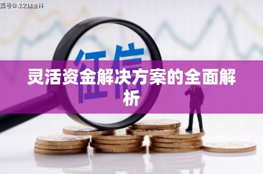 仙游灵活资金解决方案的全面解析