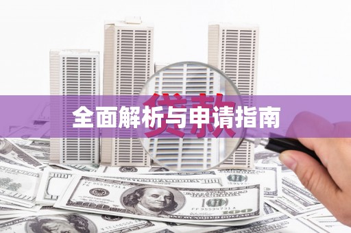 仙游全面解析与申请指南