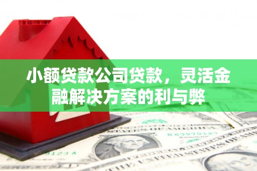 仙游小额贷款公司贷款，灵活金融解决方案的利与弊