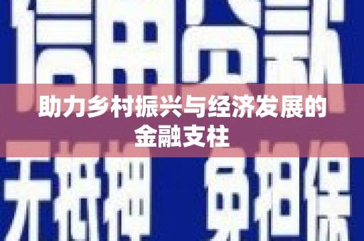 仙游助力乡村振兴与经济发展的金融支柱