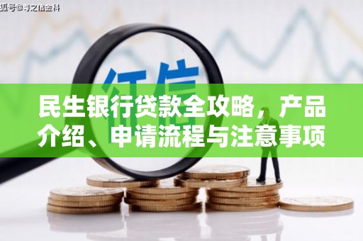 仙游民生银行贷款全攻略，产品介绍、申请流程与注意事项